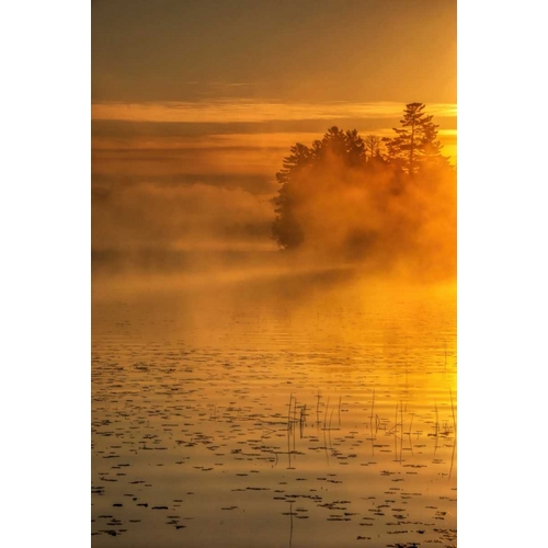 New York, Adirondack Mts Mist on Raquette Lake
